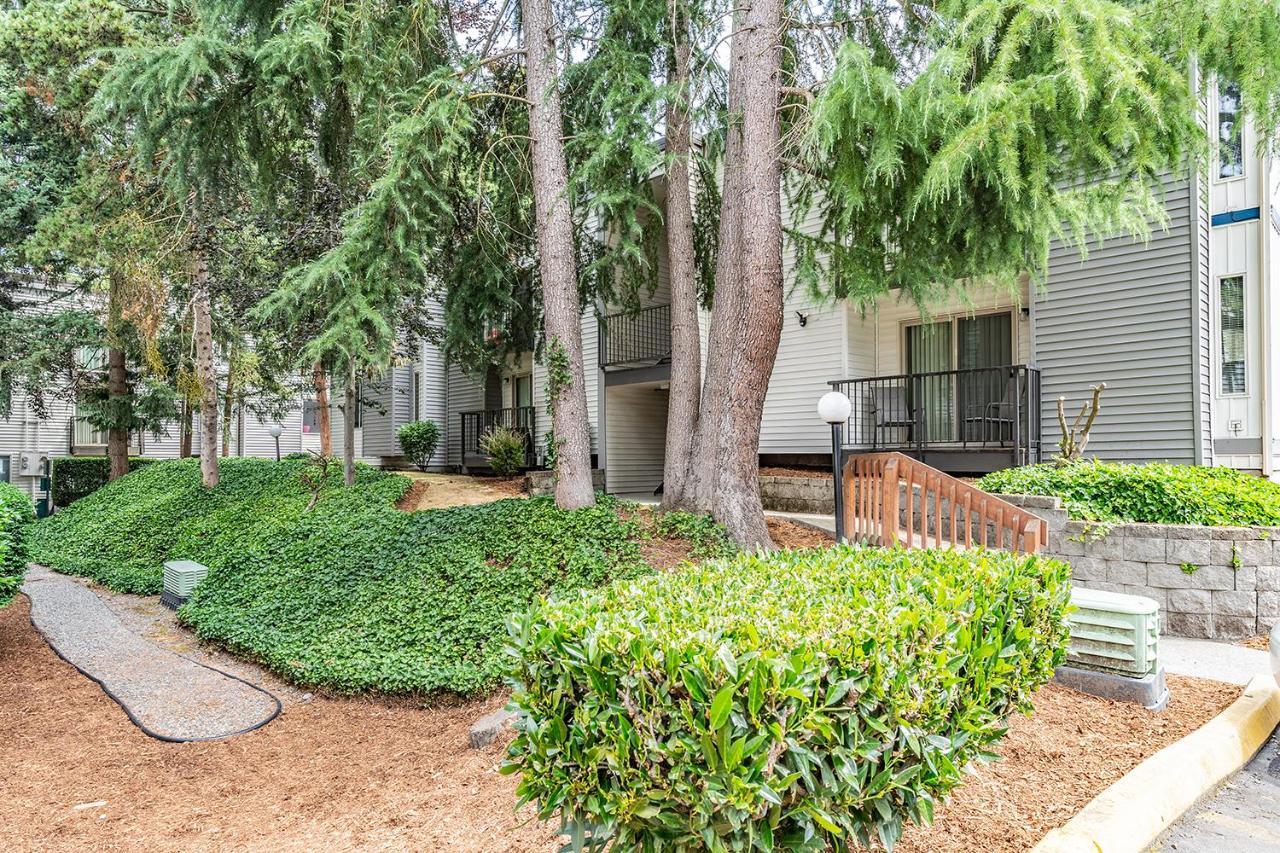 Beautiful And Cozy One Bedroom Apartment -Wifi, Bbq, Patio, Dog Park, Close To Greenlake And Northgate Seattle Ngoại thất bức ảnh